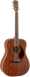 Preview: Fender PM-1 All Mahogany