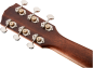 Preview: Fender PM-1 All Mahogany