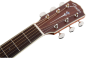 Preview: Fender PM-1 All Mahogany