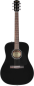 Preview: Fender CD-60 Black with Case