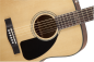 Preview: Fender CD-60 Natur incl. Koffer