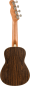 Preview: Fender Zuma Exotic Concert Ukulele