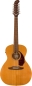 Preview: Fender Villager 12