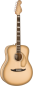Preview: Fender Palomino Vintage Antigua Limited incl.Case