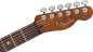 Preview: Fender Acoustasonic Standard Telecaster honey burst