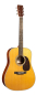 Preview: Martin DE Retro Plus Granadillo