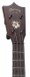 Preview: Martin 1T IZ