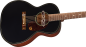 Preview: Gretsch Jim Dandy Deltoluxe Concert