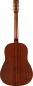 Preview: Gretsch  Jim Dandy Deltoluxe Dreadnought