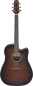 Preview: Ibanez AAD-51CE DVS