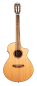 Preview: Breedlove Discovery S Concert Nylon