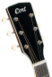 Preview: Cort Exotic SFX Ash