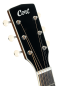 Preview: Cort Exotic SFX Myrtlewood