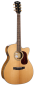Preview: Cort Gold OC-6 Bocote