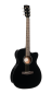 Preview: Cort Luce L-60CE