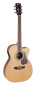 Preview: Cort Luce L-710F