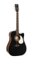 Preview: Cort MR-500F Black satin