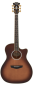 Preview: D´Angelico Excel Gramercy Autumn Burst