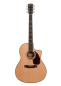 Preview: Larrivee LV-10 Rosewood deluxe