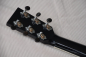 Preview: Lakewood D-14 custom, Fichte Mahagoni vollmassiv, L.R. Baggs Element PU second hand