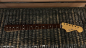 Preview: Fender Player Series Jazzmaster Neck, 22 Medium Jumbo Frets, Pau Ferro, 9.5, Modern C