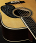 Preview: Martin D-42 Special