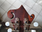 Preview: Eastman MD314 Mandoline B-Ware