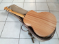 Preview: Taylor GS Mini-e Limited Olive