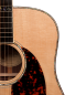 Preview: Larrivee D-10E L.R.Baggs Anthem Pickup System