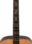 Preview: Larrivee D-10E L.R.Baggs Anthem Pickup System
