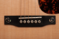 Preview: Larrivee D-10E L.R.Baggs Anthem Pickup System