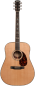 Preview: Larrivee D-10E L.R.Baggs Anthem Pickup System