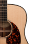Preview: Larrivee D-60E L.R.Baggs Anthem Pickup System