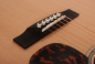 Preview: Larrivee D-60E L.R.Baggs Anthem Pickup System