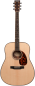 Preview: Larrivee D-60E L.R.Baggs Anthem Pickup System