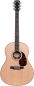 Preview: Larrivee L-09E L.R.Baggs Anthem Pickup System