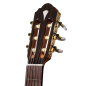 Preview: Maravilla M20-CE, Zeder massiv / Sapeli, Cutaway, Tonabnehmer