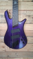 Preview: Spector NS Dimension HP 5, Plum Crazy Gloss, Demomodell