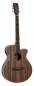 Preview: Tanglewood TRU4CEAE