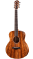 Preview: Taylor GS Mini-e Koa