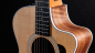 Preview: Taylor 212ce