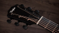 Preview: Taylor 214ce Plus Special Edition Transparent blue