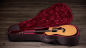 Preview: Taylor 214ce plus