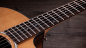 Preview: Taylor 214ce plus