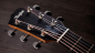 Preview: Taylor 214ce plus