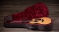 Preview: Taylor 254ce Plus