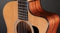 Preview: Taylor 254ce Plus