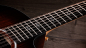 Preview: Taylor 264ce-K dlx 12 string