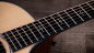 Preview: Taylor 314ce Next Generation