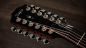 Preview: Taylor 354ce 12 string